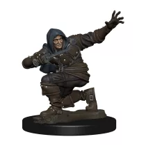 Pathfinder Battles: Premium Painted Figure - Human Rogue Male - EN-WZK77500