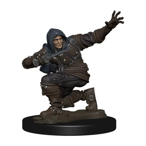 Pathfinder Battles: Premium Painted Figure - Human Rogue Male - EN-WZK77500