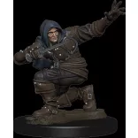 Pathfinder Battles: Premium Painted Figure - Human Rogue Male - EN-WZK77500