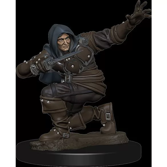 Pathfinder Battles: Premium Painted Figure - Human Rogue Male - EN-WZK77500