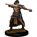Pathfinder Battles: Premium Painted Figure - Half-Elf Ranger Male - EN-WZK77505