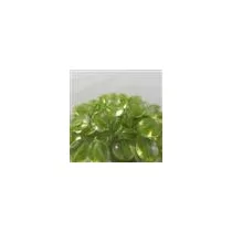 Chessex Gaming Glass Stones in Tube - Catseye Green (40)-1158