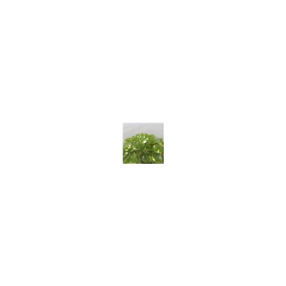 Chessex Gaming Glass Stones in Tube - Catseye Green (40)-1158