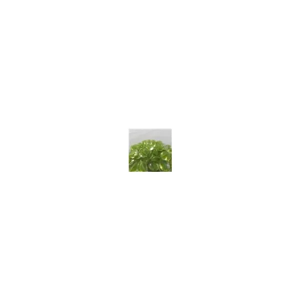 Chessex Gaming Glass Stones in Tube - Catseye Green (40)-1158