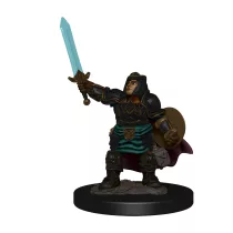D&D Icons of the Realms Premium Figures: Dwarf Paladin Female-93027