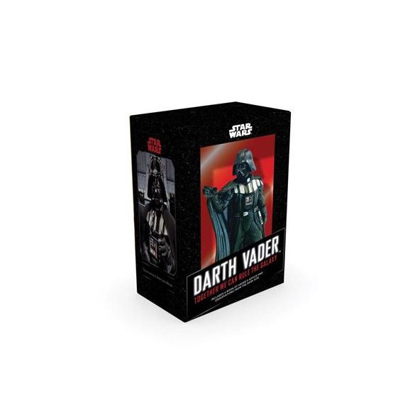 Darth Vader In A Box-08506