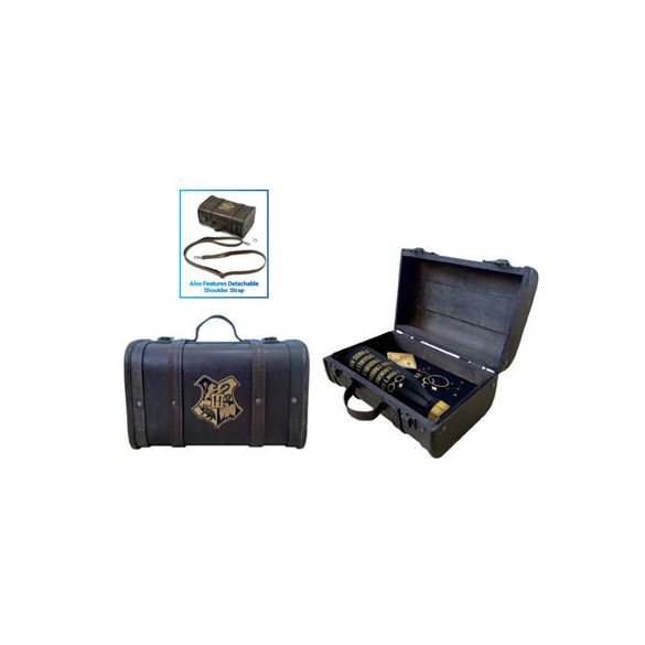 Pyramid Premium Gift Set - Harry Potter (Trouble Finds Me)-GP85536