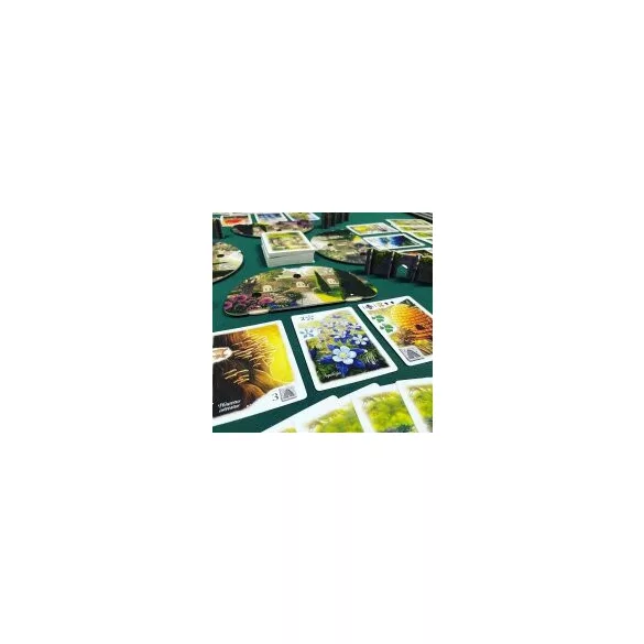 Flourish Standard Edition - EN-STG2800EN