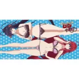 Highschool DXD Hero strandtörölköző - Rias und Akeno 160x80 cm