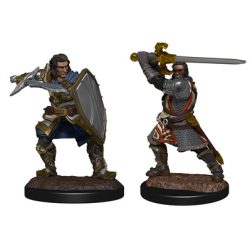 D&D Nolzur's Marvelous Miniatures: Human Paladin Male - EN-WZK90220