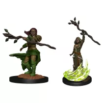 D&D Nolzur's Marvelous Miniatures: Human Druid Female-90223