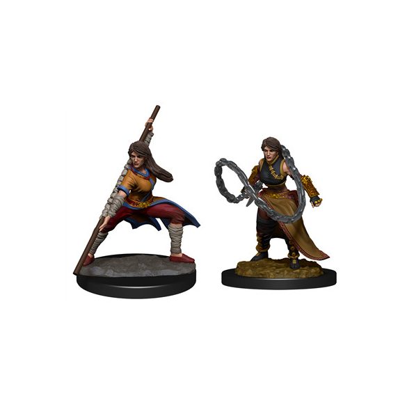 D&D Nolzur's Marvelous Miniatures: Human Monk Female - EN-WZK90225