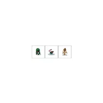 Critical Role: Monsters of Wildemount - 1 Box Set-74250