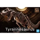 Fossile Collection 1/32 Imaginary Skeleton Tyrannosaurus modellkészlet