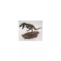 Fossile Collection 1/32 Imaginary Skeleton Tyrannosaurus-MK61800