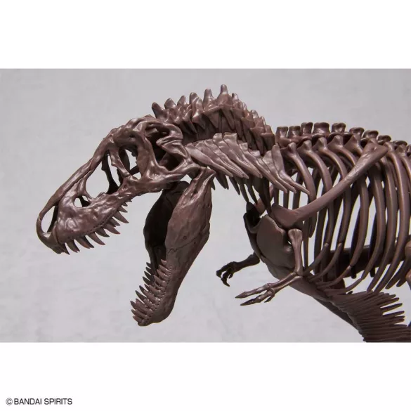 Fossile Collection 1/32 Imaginary Skeleton Tyrannosaurus modellkészlet