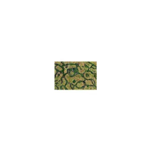 Kraken Wargames Gaming Mat - Forsaken Swamp 44"x60"-KWG-SF-19