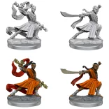 D&D Frameworks: Elf Monk Male-75027