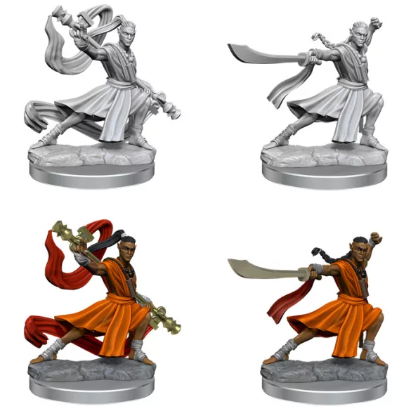 D&D Frameworks: Elf Monk Male-75027