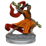 D&D Frameworks: Elf Monk Male-75027