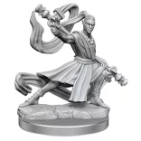 D&D Frameworks: Elf Monk Male-75027