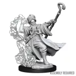 D&D Frameworks: Human Wizard Male-75030