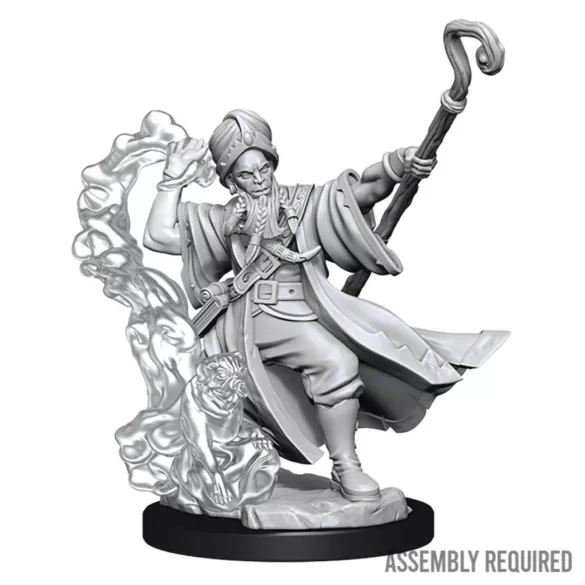 D&D Frameworks: Human Wizard Male-75030