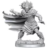 D&D Frameworks: Wight-75052