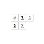 D&D Frameworks: Troll-75043
