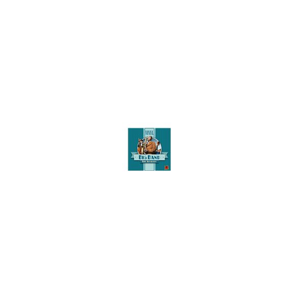 Vinyl: Big Band - EN-TSS134