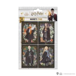 Set of 4 Magnets - Portraits characters - Harry Potter-DO5007