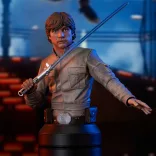 Star Wars: The Empire Strikes Back Luke Skywalker (Bespin) 1/6 Scale Mini-Bust-FEB222119
