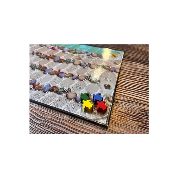 ECO: Coral Reef - EN-UBGEC001