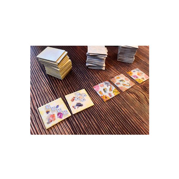 ECO: Coral Reef - EN-UBGEC001