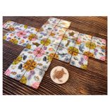 ECO: Coral Reef - EN-UBGEC001