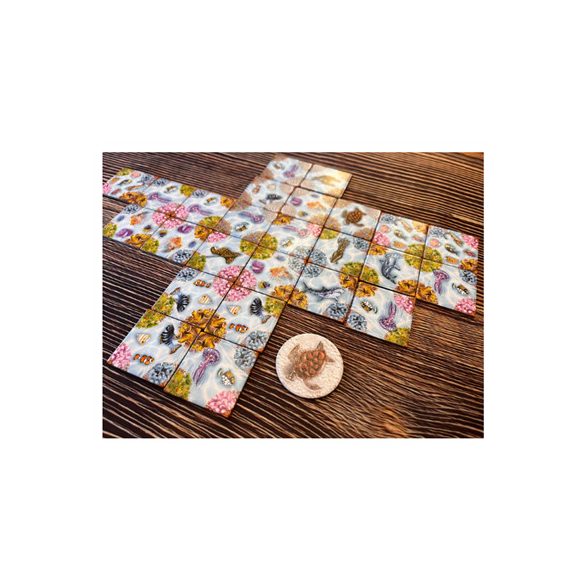 ECO: Coral Reef - EN-UBGEC001