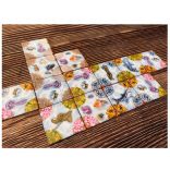 ECO: Coral Reef - EN-UBGEC001