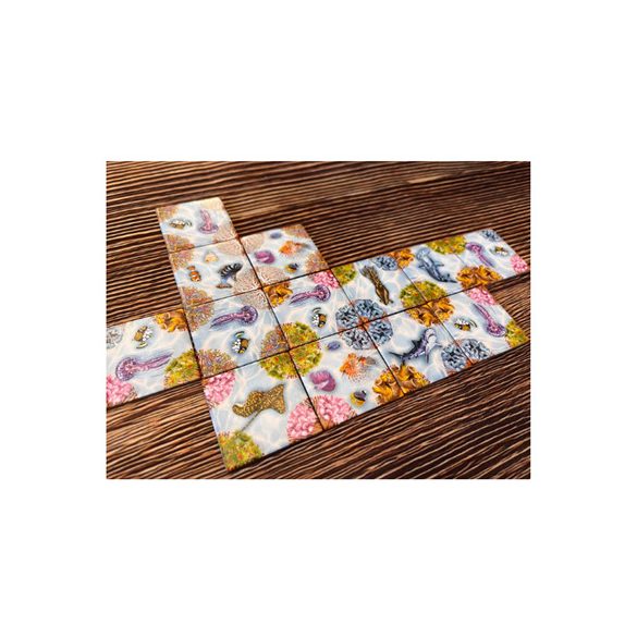 ECO: Coral Reef - EN-UBGEC001