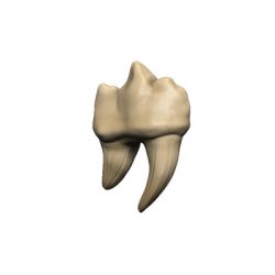 D&D Replicas of the Realms: Teeth of Dahlver-Nar Artifact-WZK96122