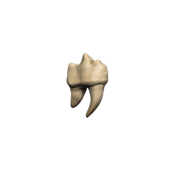 D&D Replicas of the Realms: Teeth of Dahlver-Nar Artifact-WZK96122