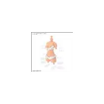 30MS OPTION BODY PARTS TYPE S03 [COLOR C]-MK63942
