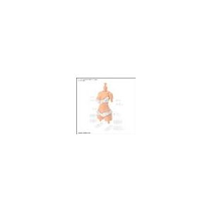 30MS OPTION BODY PARTS TYPE S03 [COLOR C]-MK63942
