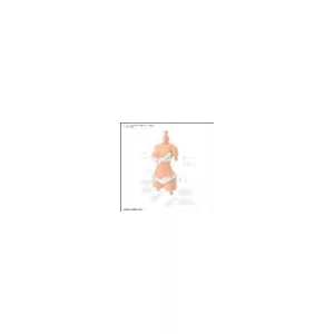30MS OPTION BODY PARTS TYPE S03 [COLOR C]-MK63942