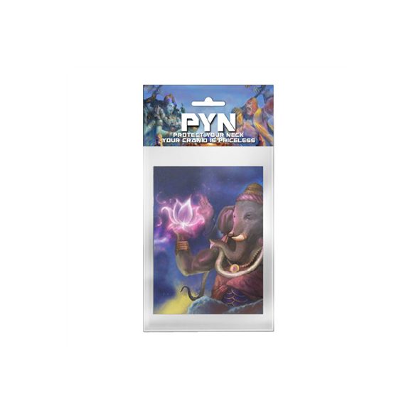 PYN Maharaja Design Artwork Sleeves (50)-CC326