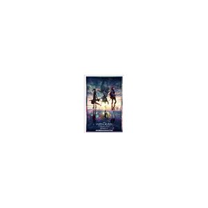 Bushiroad Sleeve HG Vol.3316 - Sword Art Online - Aria on a Starless Night Book visual-201409