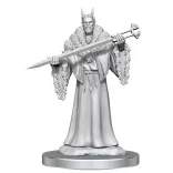 Magic: The Gathering Unpainted Miniatures: Lord Xander, the Collector - EN-WZK90608