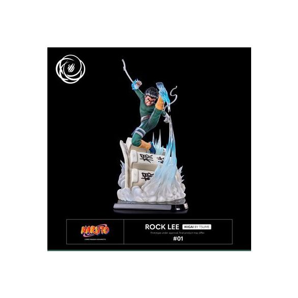 Tsume Arts - Rock Lee - Ikigai-