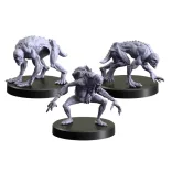 MFC - The Witcher Miniatures - Necrophages 1 - Grave Hag-MFC70017