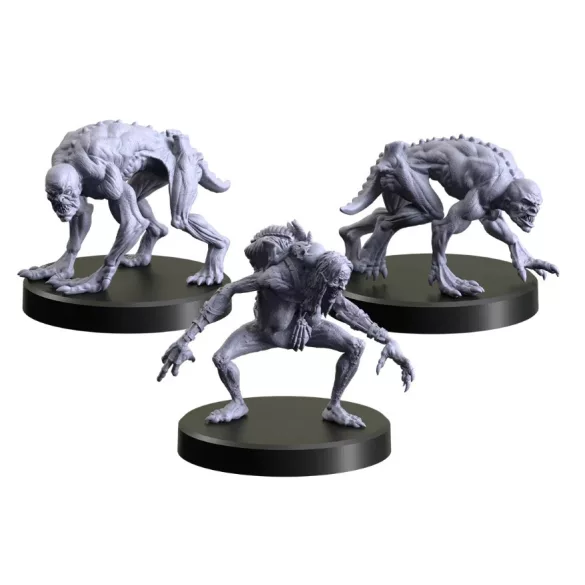 MFC - The Witcher Miniatures - Necrophages 1 - Grave Hag-MFC70017