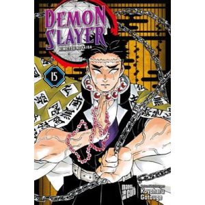 Demon Slayer 15 - DE-334152